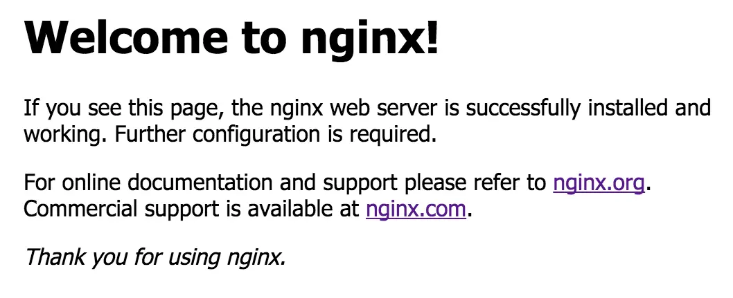 The default Nginx page, which says “welcome to Nginx” and links to documentation.